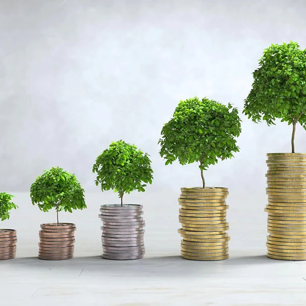 Capital Raising/Crowdfunding)