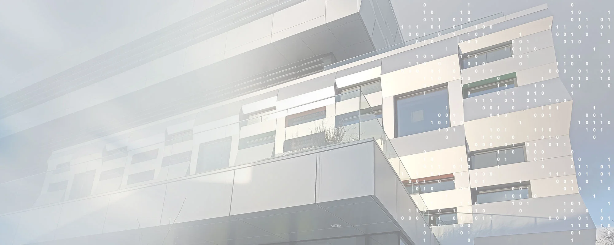 custom software development company