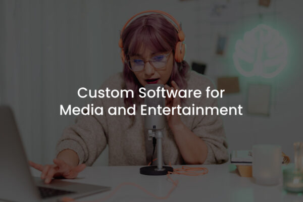 Custom Software for Media and Entertainment