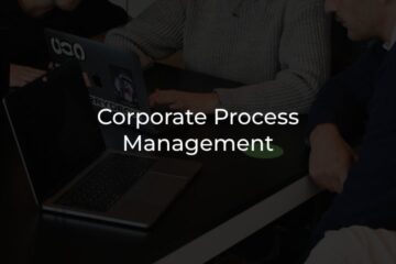 custom software