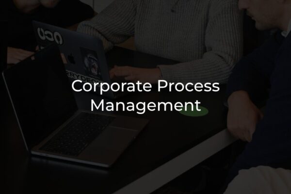 custom software