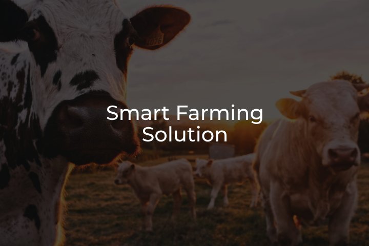 Smart Farming Solution Agritech